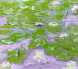 Purple Water Lilies